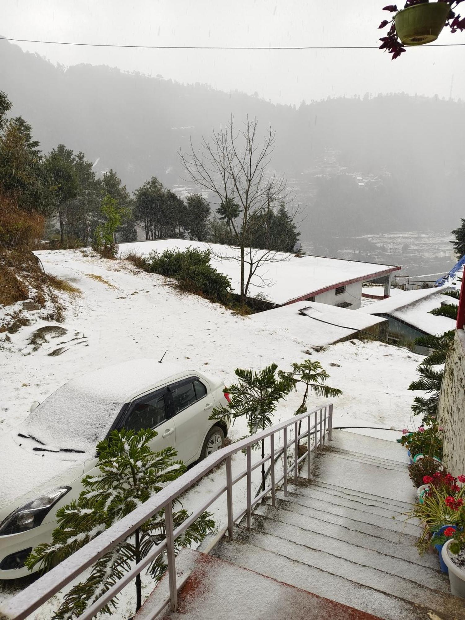 Naina Bird Cottage Nainital Εξωτερικό φωτογραφία