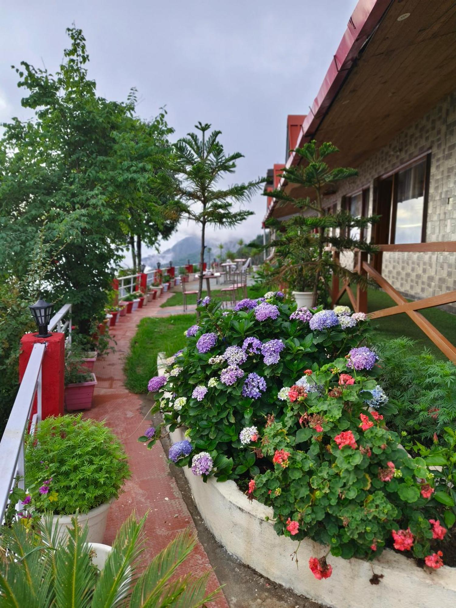 Naina Bird Cottage Nainital Εξωτερικό φωτογραφία