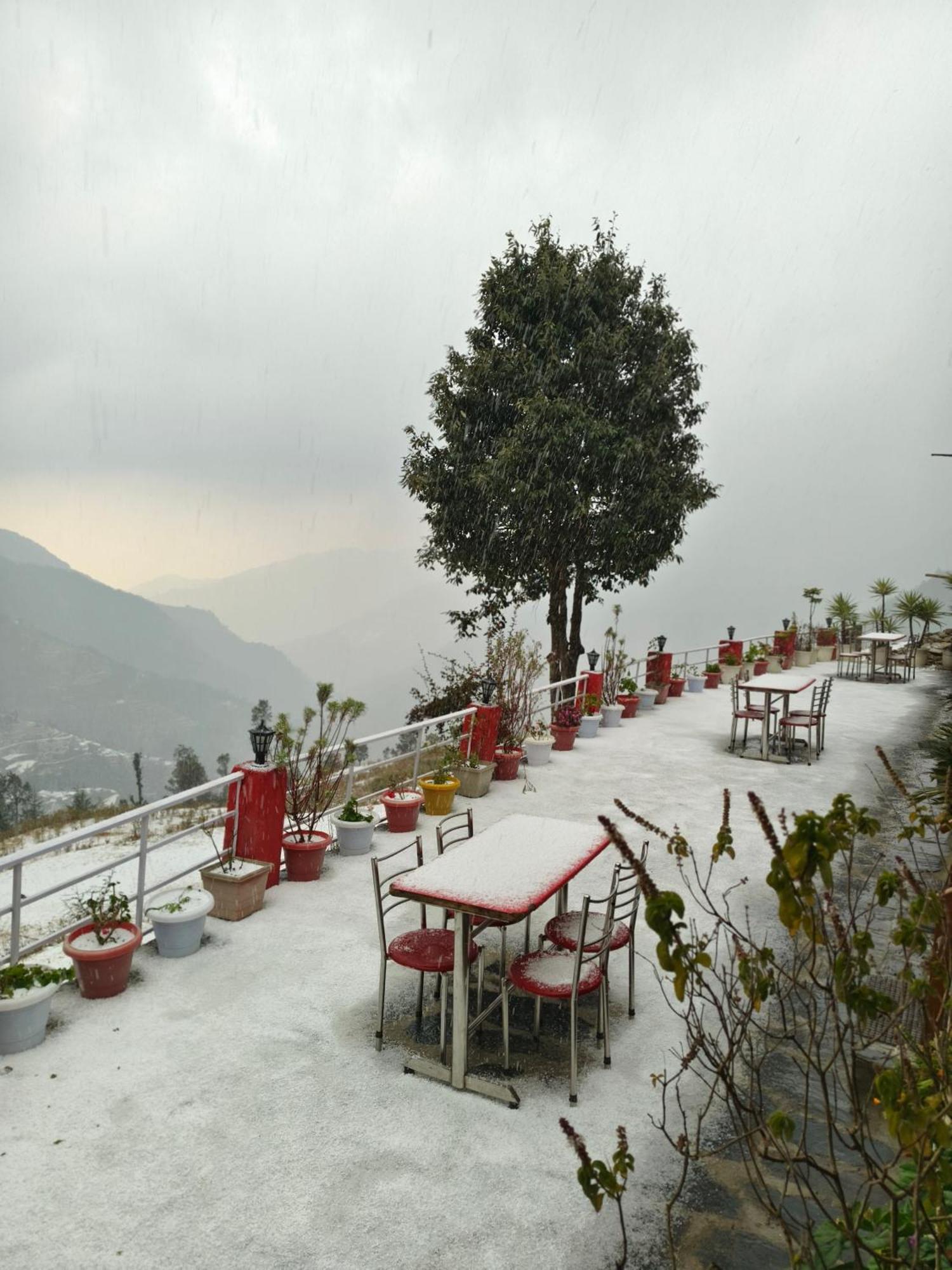 Naina Bird Cottage Nainital Εξωτερικό φωτογραφία