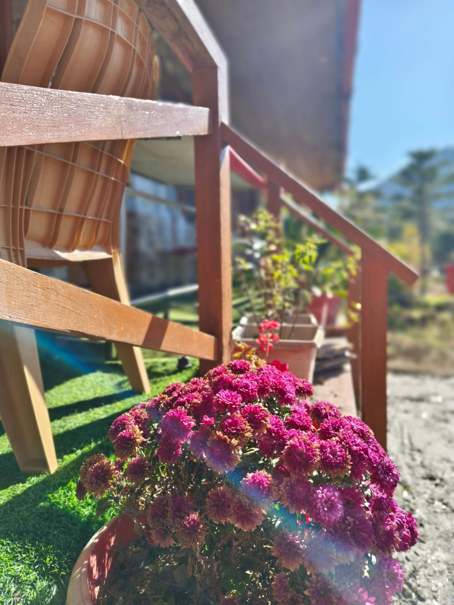 Naina Bird Cottage Nainital Εξωτερικό φωτογραφία