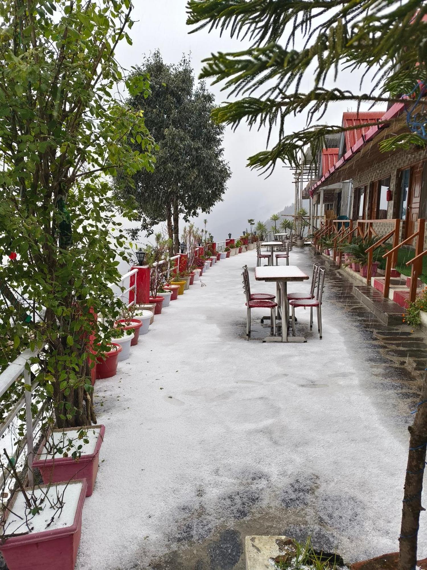 Naina Bird Cottage Nainital Εξωτερικό φωτογραφία